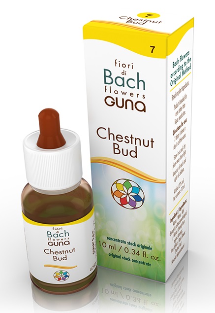 CHESTNUT BUD GOCCE 10 ML - fitfarma.it
