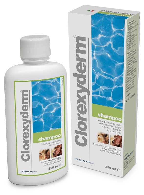 CLOREXYDERM SHAMPOO 250 ML - fitfarma.it