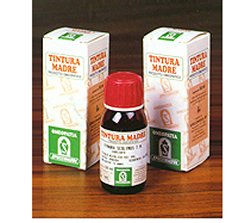 AMAMELIDE 15 50ML TM - fitfarma.it