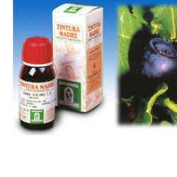 MIRTILLO 31 50ML TM - fitfarma.it