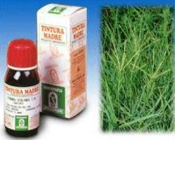 GRAMIGNA 37 50ML TM - fitfarma.it