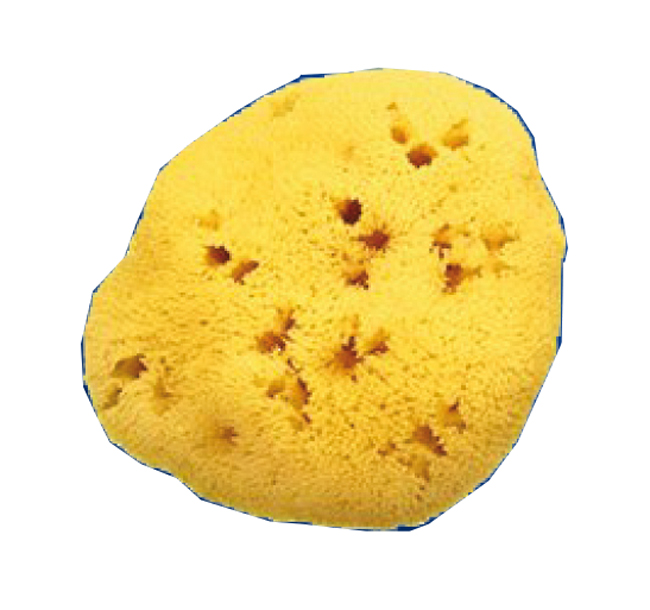 SPUGNA NAT FORI L 8/9 5 CM - fitfarma.it