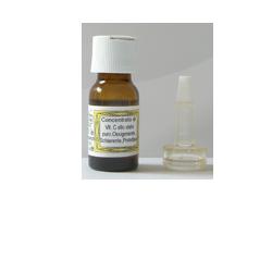 SIDEA C INTEGRALE VITAMINA C 10 ML - fitfarma.it
