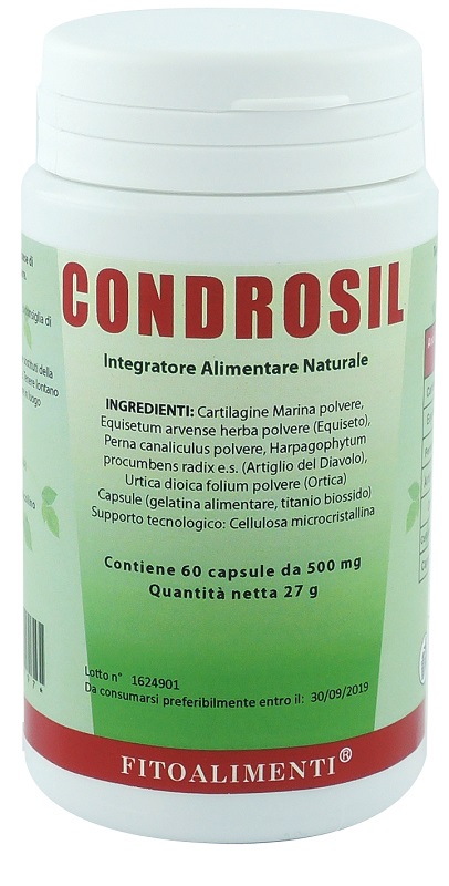 CONDROSIL 60 CAPSULE - fitfarma.it