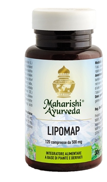 LIPOMAP 120 COMPRESSE - fitfarma.it