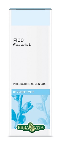 GEMMODERIVATO FICO 50 ML - fitfarma.it