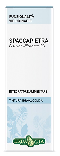SPACCAPIETRA TINTURA IDROALCOLICA 50 ML EBV - fitfarma.it