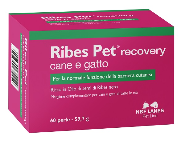 RIBES PET RECOVERY BLISTER 60 PERLE - fitfarma.it