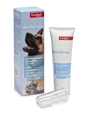 DENTALMAX GEL STOMATOLOGICO 50 ML - fitfarma.it