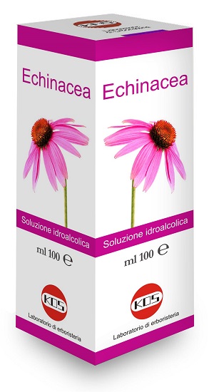 ECHINACEA SOLUZIONE IDROALCOLICA PIANTA FRESCA 100 ML - fitfarma.it