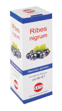 RIBES NIGRUM MG 100 ML GOCCE - fitfarma.it