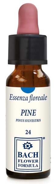 PINE ORIGINAL 10ML GTT - fitfarma.it