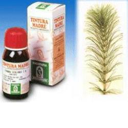 EQUISETO 12 50ML TM - fitfarma.it