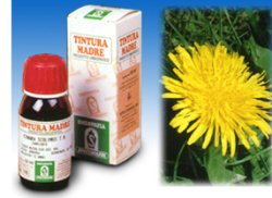 TARASSACO 28 50ML TM - fitfarma.it
