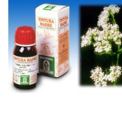 VALERIANA 36 TINTURA MADRE 50 ML - fitfarma.it