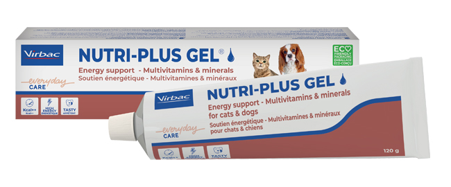 NUTRIPLUS GEL PASTA ORALE 120 G - fitfarma.it