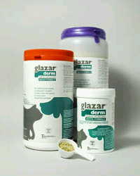 GLAZARDERM FLACONE 500 G - fitfarma.it