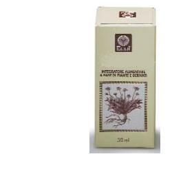 GINKGO BILOBA ESTRATTO ANALCOLICO 50 ML - fitfarma.it