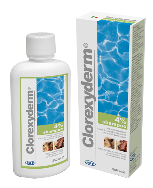 CLOREXYDERM SH 4% 250ML - fitfarma.it