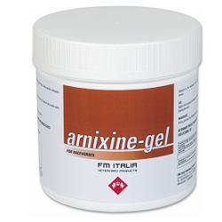 ARNIXINE GEL 750ML - fitfarma.it