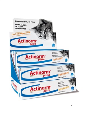 ACTINORM PASTA GATTI 65G - fitfarma.it