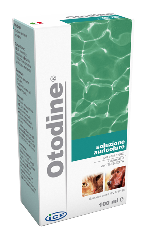 OTODINE DET LIQ 50ML - fitfarma.it