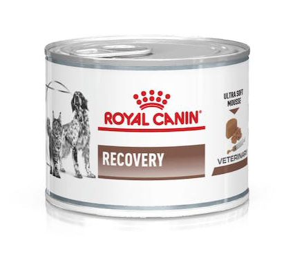 VETERINARY DIET WET D&C RECOVERY 195 G - fitfarma.it