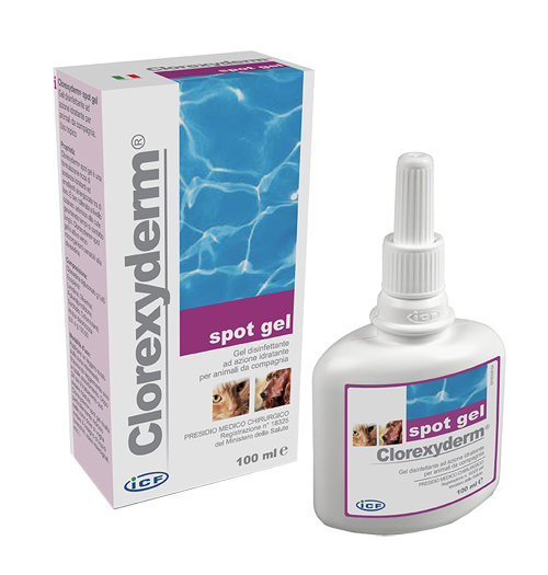 CLOREXYDERM SPOT GEL 100ML - fitfarma.it