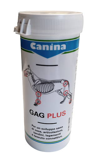 GAG PLUS 200 G 120 TAVOLETTE - fitfarma.it