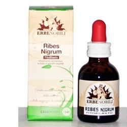 FITOBLASTO RIBES NIGRUM 50 ML - fitfarma.it