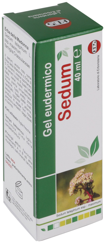 SEDUM GEL EUDERMICO 40 ML - fitfarma.it
