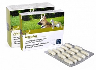 ARTOSALUS COMPRESSE 30 COMPRESSE - fitfarma.it