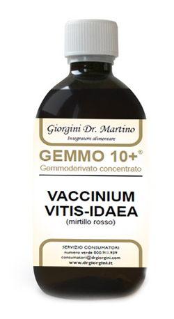 GEMMO 10+ MIRTILLO ROSSO LIQUIDO ANALCOLICO 500 ML - fitfarma.it