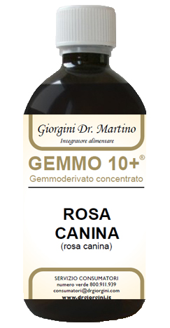 GEMMO 10+ ROSA CANINA LIQUIDO ANALCOLICO 500 ML - fitfarma.it