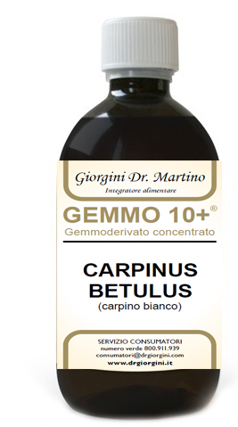 GEMMO 10+ CARPINO BIANCO 500 ML LIQUIDO ANALCOLICO - fitfarma.it