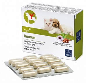 IMMUN 60 COMPRESSE - fitfarma.it