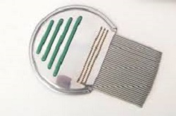 PETTINE ACCIAIO PER RIMOZIONE PIDOCCHI - fitfarma.it