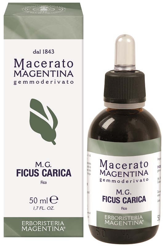 FICUS CARICA MACERATO MAGENTINA 50 ML - fitfarma.it