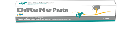 DIRENE PASTA 15 ML - fitfarma.it