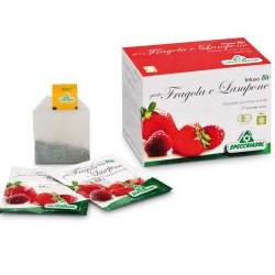 INFUSO FRAGOLA/LAMPONE 20 FILTRI - fitfarma.it