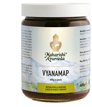 VYANAMAP PASTA 600 G - fitfarma.it