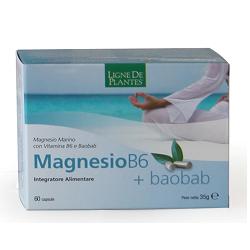 MAGNESIO B6 + BAOBAB 60 CAPSULE - fitfarma.it