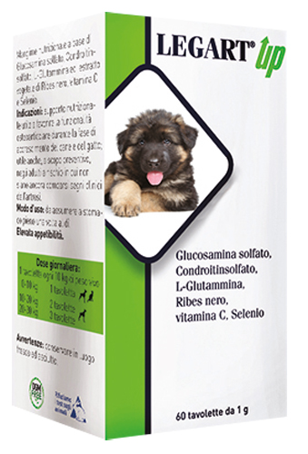LEGART UP 60 COMPRESSE DA 1 G - fitfarma.it
