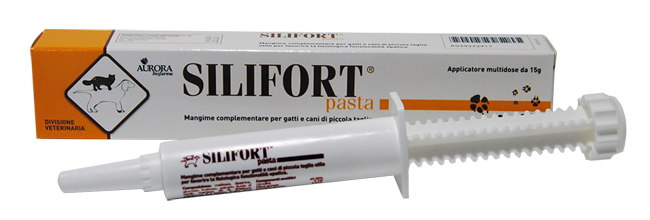 SILIFORT PASTA OS SIRINGA 15 G - fitfarma.it
