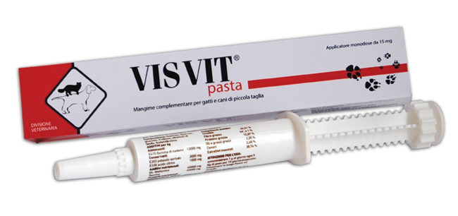 VISVIT PASTA OS SIRINGA 15 G - fitfarma.it