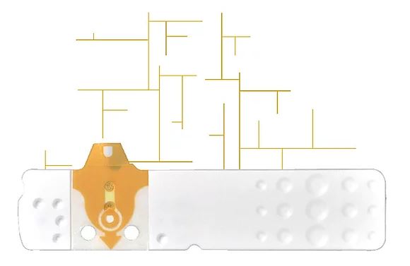 STRISCE MISURAZIONE GLICEMIA LINEA D ORO 25 PEZZI - fitfarma.it