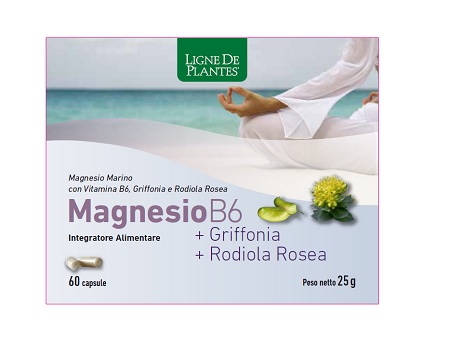 MAGNESIO B6 + GRIFFONIA + RODIOLA 60 CAPSULE - fitfarma.it