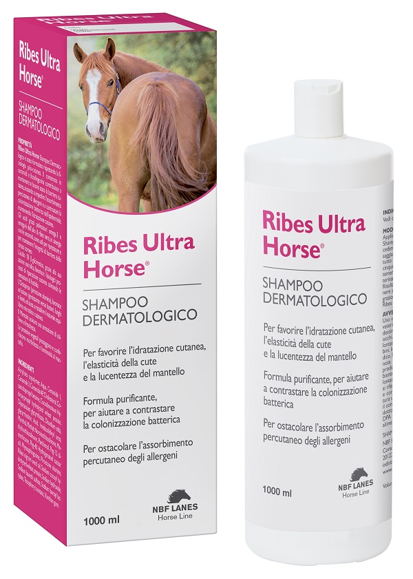 RIBES HORSE ULTRA SHAMPOO DERMATOLOGICO 1 LITRO - fitfarma.it