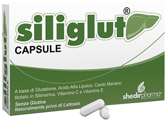 SILIGLUT 20 CAPSULE - fitfarma.it