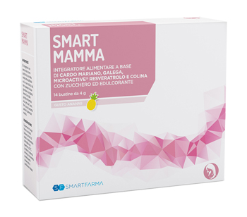 SMART MAMMA 14 BUSTINE GUSTO ANANAS - fitfarma.it
